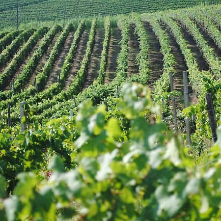 Cascina Dani Villa Agliano Terme Kültér fotó